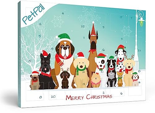 PetPäl Hunde Adventskalender 2024 - Ohne Getreide, Gluten, Zucker, Salz - DER Gesunde und Leckere Snack, Leckerli zu Weihnachten für Deinen Hund - Natürliche Hundekekse zum Advent - Made in Germany