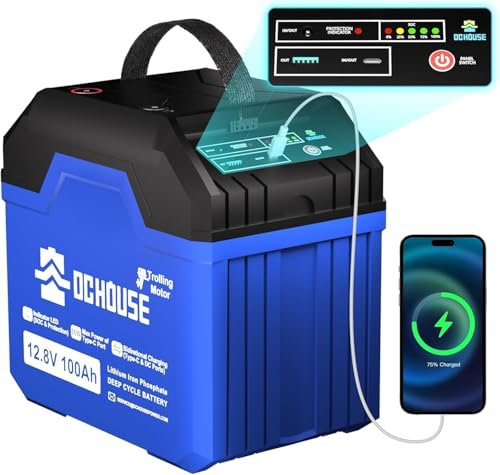 DCHOUSE 12V 100Ah LiFePO4 BLuetooth Batería de Litio con Luz SOC,USB-A, DC, Puertos Tipo-C,Built-in 100A BMS, Batería de Ciclos Profundos para Trolling Motor,Autocaravana, Caravana,Camping