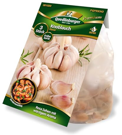 Quedlinburger 381020 Pflanzknoblauch Flavor (3 Stück) (Pflanzknoblauch)