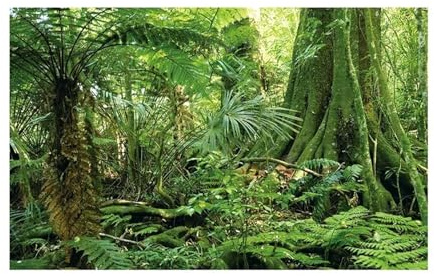JTKSSCS Aquarium RüCkwand Wald Aufkleber Aquarium Hintergrund Poster Dekoration Fisch Tank Wand Lanscaping Regenwald Terrarium(GREEN3,50x100cm)