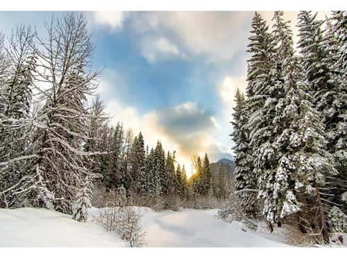 MIRRORANG 2,2x1,5m Schnee Winter Fotografie Hintergrund Kiefer Wald Wunderland Hintergrund Neugeborenes Baby Dusche Weihnachten Neujahr Party Dekoration Banner, Vinyl