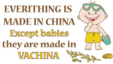 10cm! Klebe-Folie Wetterfest Made-IN-Germany Everithing is Made In China Humor G546 UV&Waschanlagenfest Auto-Aufkleber Sticker Decal