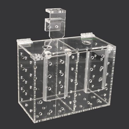 Aquarium Isolationsbox 20×10×15 cm, Quarantänebox, Aufzuchtbox, Fischfalle