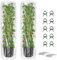 JonesHouseDeco 2 Stück Garten Tomate Gemüse Pflanzer mit Spalier selbst Bewässerung erhöht Bett Pflanzer Tomate Pflanze Unterstützung für Kletterpflanzen Gemüse Rebe Blumen Blumen im Freien Patio
