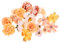 MAGICLULU 20st Künstliche Künstliche Partyblumen Blumenkranz Selber Machen Hawaiianische Kopfblumen Mini-blumenköpfe Gefälschte Blütenköpfe Rosenköpfe Seide Stirnband Polyester Kuchen