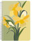 Clairefontaine 83492C - Notizheft/Kladde La Vie en Vosges, mit Doppelspirale DIN A5 14,8x21 cm, 74 Blatt, liniert, Motive sortiert, 1 Stück