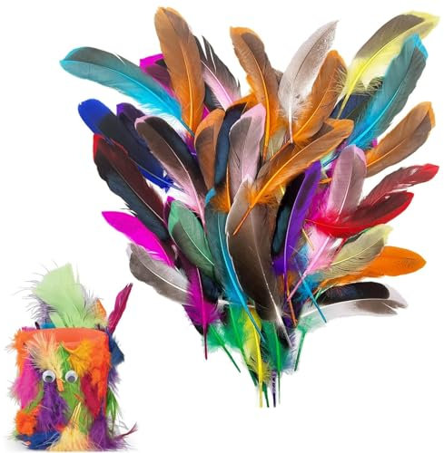 Rixotix 50 Stück Federn Bunte Federn Zum Basteln, Feder Deko für DIY Ohrring, Hochzeit, Traumfänger, Kopfschmucksfedern, Schulhandwerk