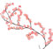 Branches d'arbre à LED pour mur, branches lumineuses de 1,6 m, 72 LED en fleurs de cerisier, lumières de vigne avec télécommande et 8 modes d'éclairage, guirlande de fleurs de cerisier, vigne de saule