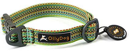 OllyDog Rescue Verstellbares Hundehalsband mit stabiler Schnalle, leichtes Trainingshalsband für große, mittelgroße und kleine Hunde (klein, prismgrün)