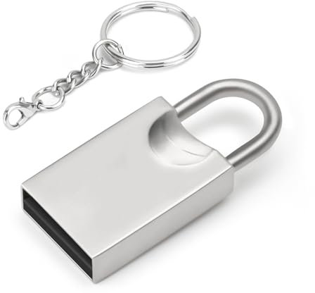 LEIZHAN USB 3.0 Flash Drive, Mini-USB-Flash-Laufwerk, USB-Flash-Laufwerk fürs Auto, USB-Flash-Laufwerk mit Schlüsselanhänger für PC, Laptop usw.(64 GB, Silberne Schlösser)