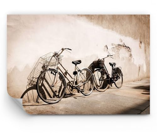ARTTOR Papel pintado de vinilo tejido no tejido Premium Canvas - Bicicleta ladrillo ciudad italia - 450x315 cm - Fotomurales Decorativos fotográfico Dormitorio Para la sala - WF3AA450x315-2162