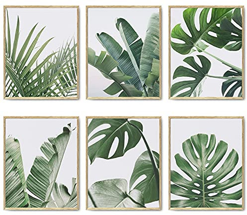 HoozGee Botanische Wandkunstdrucke Blättern Dekor Pflanzenblatt Wandkunst Leinwanddrucke Wanddekoration Grüne Wandkunst Poster Satz für Wohnzimmer Dekor 8x10 Zoll (20.3x25.4cm) Ungerahmt