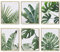 Green Botanical Wall Art Print Set of 6 Natural Plant Leaves Home Decor Aesthetic Bathroom Wall Art Canvas Posters Leaf Prints Poster Set (8x10 UNFRAMED, Tropical Leaves Art)