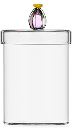 Ichendorf Desert Plants Scatola con Cactus Fiore Rosa