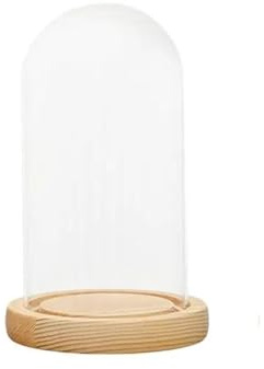 Cloche de présentation en verre, Cloche en verre Transparent avec Base bois, 2 pièces, plusieurs tailles for centres de table fête et mariage(12x21cm)