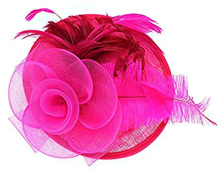 Fascinator Damen Frauen Braut Haarschmuck aus Mesh Federn Pillbox-Hut elegant Netzschleier vintage Headwear Haar Accessoire Kopfbedeckung Blumen Stirnband für Karneval Tea Party Cocktail Cosplay