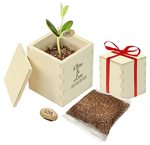 Casa Vivente Zauberbohne mit gravierter Holzbox, Personalisiert mit Namen und Datum, Pflanze mit Botschaft I Love You und Anzuchtset, Geschenk für Paare