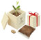 Casa Vivente Zauberbohne mit gravierter Holzbox, Personalisiert mit Namen und Datum, Pflanze mit Botschaft I Love You und Anzuchtset, Geschenk für Paare
