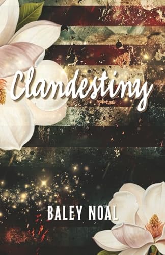 Clandestiny: Two broken paths. A chance meeting when they needed it the most. A love guided by destiny.: Two broken paths. A chance meeting when they ... guided by destiny. (Special Color Edition)