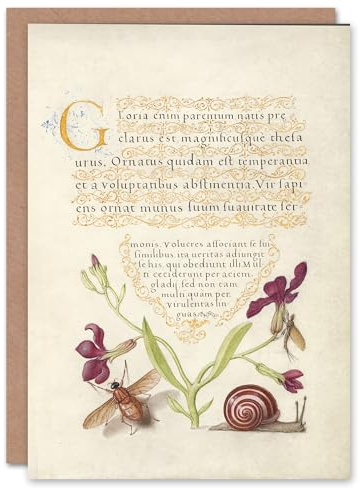 Artery8 Model Book of Calligraphy Art Card Gillyflower Fly Mayfly and Snail