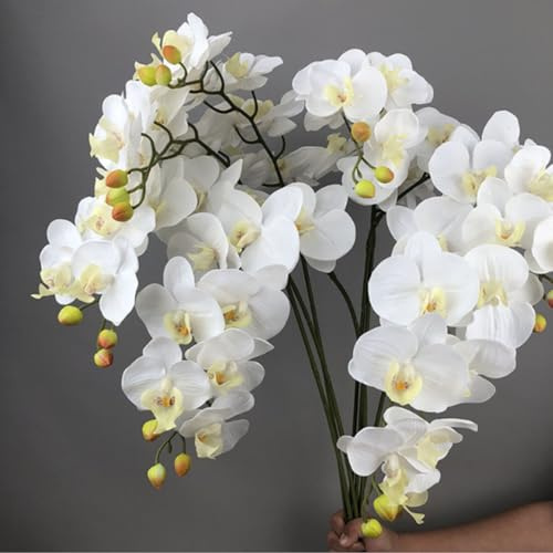 Tikwisdom Künstliche Phalaenopsis-Blumen, 69 cm, Weiß, 6 Stück, weiße künstliche Orchideen, Stängelpflanzen für Heimdekoration (weiß)
