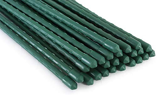 Tingyuan 25 Pack Garden Stakes 8mm x 75cm Plant Stakes Sturdy Plant Support | Bridge the gap between short supports and taller garden stakes with extra growing room for developing vegetables.