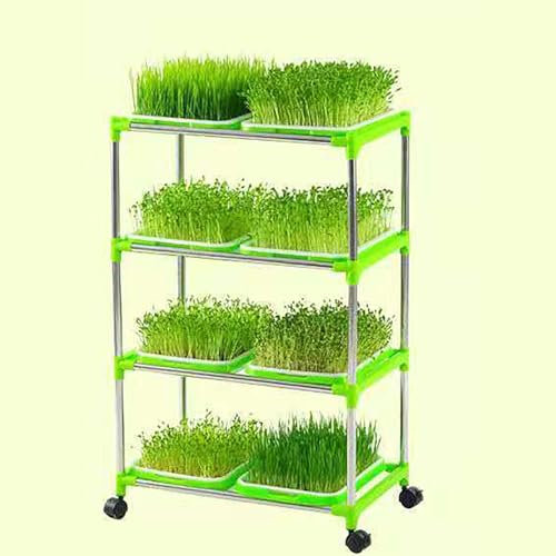 LBMED Set Germogli Semi,germogliatore Fagioli Automatico Intelligente a 4 Strati Con Ripiano, Circolazione Automatica Acqua E Sostanze Nutritive a 360°,cereali Integrali E Alto Tasso Germinazione