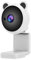 Webcam Mignonne 1080P avec Microphone, Caméra D'ordinateur USB 1920x1080 @ 30fps, Caméra Web USB Plug and Play pour Conférence, Appel Vidéo - Ours Mignon (White)