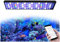 PopBloom H54 WiFi Meerwasser Aquarium Beleuchtung, Volles Spectrum Led Aquarium Lampe für Reef Coral SPS/LPS Fischaquarium, APP unterstützt Deutsch (für 50-70cm)