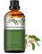 PHATOIL Zitroneneukalyptusöl Ätherisches Öl Reine 30ML, Ätherische Öle für Diffuser Erstklassige Qualität, Aroma Duftöl Zitrone Eukalyptus Öl für Kerzen, Duftlampe, Luftbefeuchter