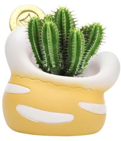 Dirfuny Bonitas macetas, macetas únicas divertidas para suculentas, macetas pequeñas, bonitas macetas para suculentas, sala de estar, interior