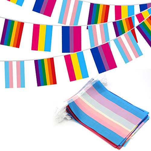 Anley Lot de 32 drapeaux arc-en-ciel assortis – 4 bannières à fanions mixtes avec LGBT, pansexualité, bisexualité et transgenre – 32 drapeaux 26 pieds