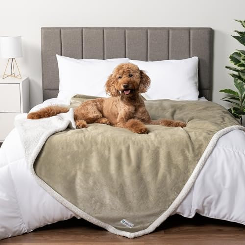 PetAmi wasserdichte Hundedecke für Bett, XL Hundedecke Couchbezug Schutz, Sherpa Fleece Auslaufsichere Decke für Kiste, Zwinger, Sofa, Möbel, Queen-Bett, Schutz, wendbar, 90x90 cm, Taupe