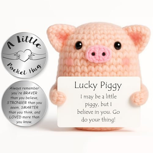Tixlux Lucky Piggy Gifts, Handmade Positive Cute Knitted Pig Doll, with Pocket Hug Lucky Charm, Good Luck | Emotional Support | Get Well Soon | Birthday Gifts for Women Men Kids (Silver Ⅱ)