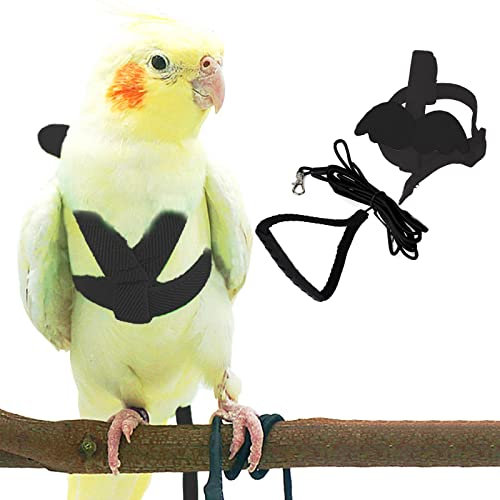 Dnoifne Haustier Papagei Vogel Geschirr und Leine, verstellbares Training Design Anti-Biss, Vogel Nylonseil mit süßem Flügel für Papageien, geeignet für Alexandrin, Scharlachrot, Keck (Schwarz)