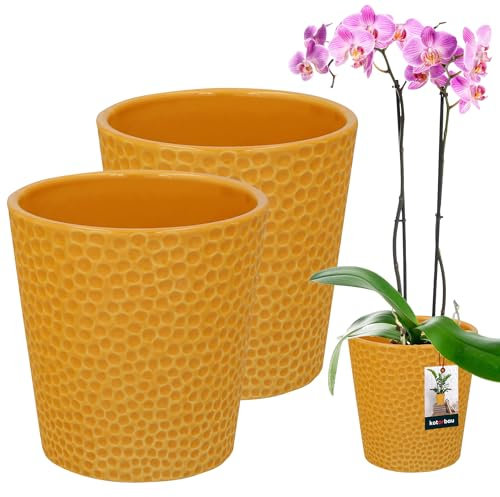 KOTARBAU® 2er Set Blumentopf Senffarbe Keramik glasiert ⌀ 12 cm Höhe: 15 cm Orchideentopf Keramik Blumentöpfe Keramik Blumentopf Keramik Pflanztopf Blumentopf modern Blumentöpfe Zimmerpflanzen