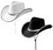 HDGSAFD 2 Stück Western-Cowboyhüte, Damen-Cowboyhüte, Cowboyhüte Mit Pailletten, Cowboyhüte Mit Silberner Krempe, Geeignet Für Musical-Tanzparty, Mottoparty, Cosplay