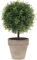 Funzhan 27CM künstliche Buchsbaum Topiary Topfpflanze Dekoration gefälschte Pflanze Greenery Arrangements in Topf Faux Grass Ball Pflanze Topf Modell lebensechte lebendige Bonsai Home Cabinet