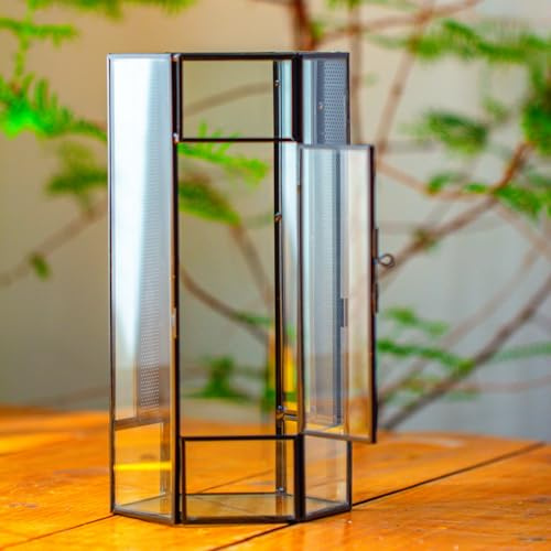 NCYP 12,5x10x24 cm Kleines Glasgehege Terrarium mit Netz und Tür für springende Spinnen, Insekten, Schwarz Sechseckiges Sukkulenten Terrarium (Ohne Pflanzen)