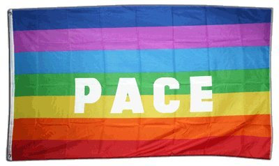 Flaggenfritze Fahne/Flagge Regenbogen mit PACE + gratis Sticker