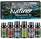 AESHORY Natürlich Ätherische Öle Set für Diffuser 6 x 10ML, Aromatherapie Duftöl, Aroma Öl Geschenkset für SPA, Kerzenherstellung - Bambus, Regen, Wald Kiefer, Sandelholz & Rose, Lavendel & Kamille
