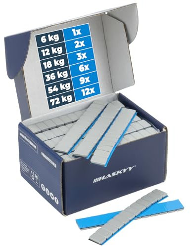 HASKYY Pesi adesivi, barretta di bilanciamento 12 x 5 g, argento – Selezione – FE zincato con rivestimento in plastica (36,0, chilogrammi)