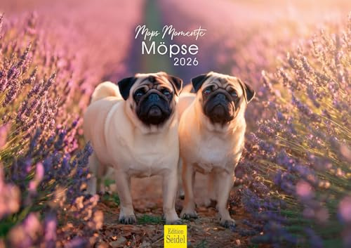 Edition Seidel Premium Kalender Mops-Momente Möpse 2026 DIN A3 Wandkalender Hundekalender Möpse Hund Haustier Welpen Hunderasse