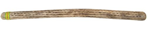 Afroton Rainmaker groß ARM849, Kaktus, ca. 100 cm