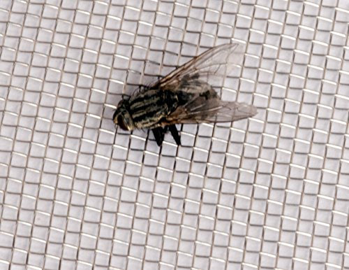 Dimensione del foro 1,35 mm, 316L, zanzariera a rete, in acciaio inox, dimensioni: 60 cm x 240 cm Inoxia