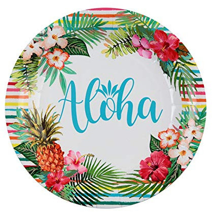 10 Assiettes Carton Aloha 22,5 cm - Multicolore - Taille Unique