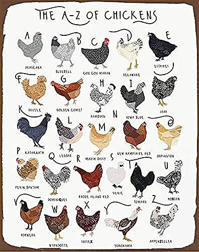 Hühner-Druck Hühnerrassen Kunst Alphabet Poster Hühnerliebhaber Geschenk Huhn-Poster Hühnerrassen Bauernhof Hühnerstall Dekor Werkzeug Blechschild 20,3 x 30,5 cm