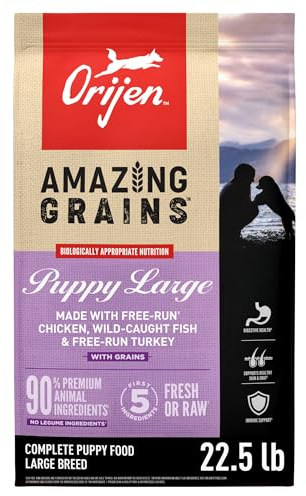 ORIJEN Amazing Grains High Protein Dry Dog Food Puppy Large Breed Recipe 22.5lb Bag