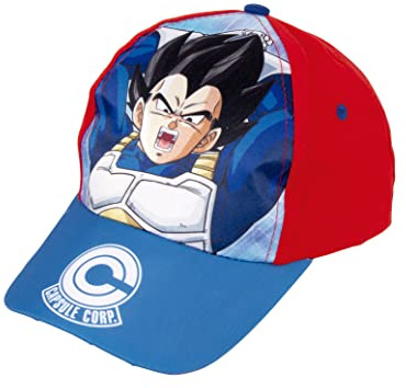 Dragon Ball Z Chapeau pour Garçons, Casquette D'été, Goku et Son Gohan Design, Cadeau pour Garçons, Casquette Réglable