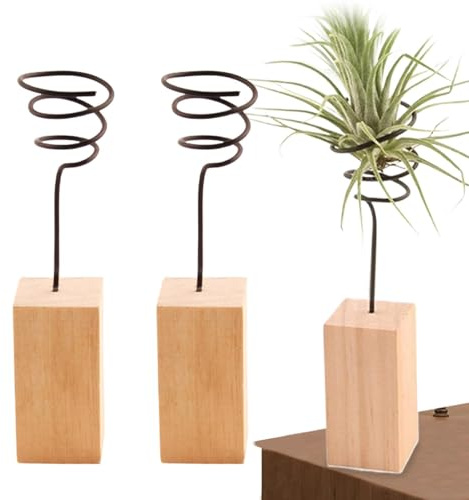 Soporte para plantas de aire, soporte para exhibición de plantas de aire, Adornos de plantas Decoración del hogar Juego de 3, Soporte para planta de aire, decoración para el hogar, soporte para clavel